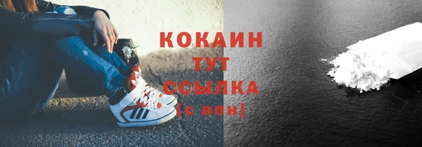 молекула духа Козловка