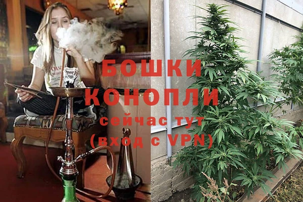 молекула духа Козловка