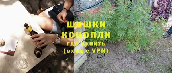 молекула духа Козловка