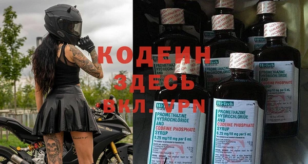 молекула духа Козловка